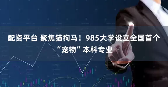 配资平台 聚焦猫狗马！985大学设立全国首个“宠物”本科专业