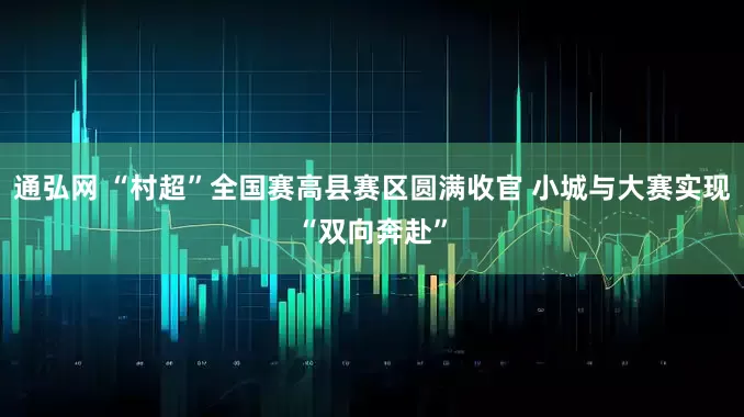 通弘网 “村超”全国赛高县赛区圆满收官 小城与大赛实现“双向奔赴”