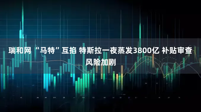 瑞和网 “马特”互掐 特斯拉一夜蒸发3800亿 补贴审查风险加剧