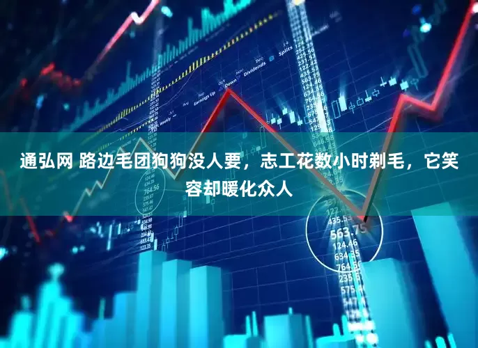 通弘网 路边毛团狗狗没人要，志工花数小时剃毛，它笑容却暖化众人