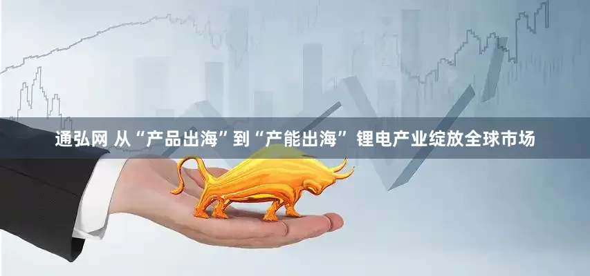 通弘网 从“产品出海”到“产能出海” 锂电产业绽放全球市场