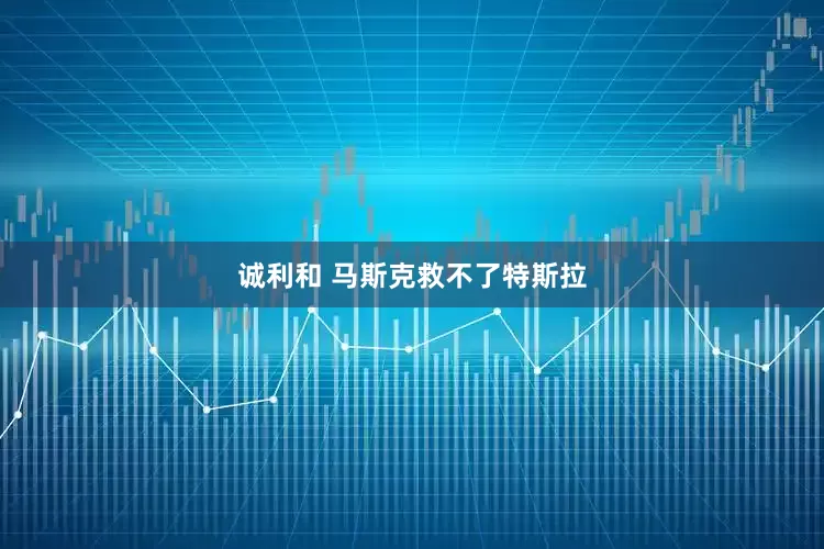 诚利和 马斯克救不了特斯拉